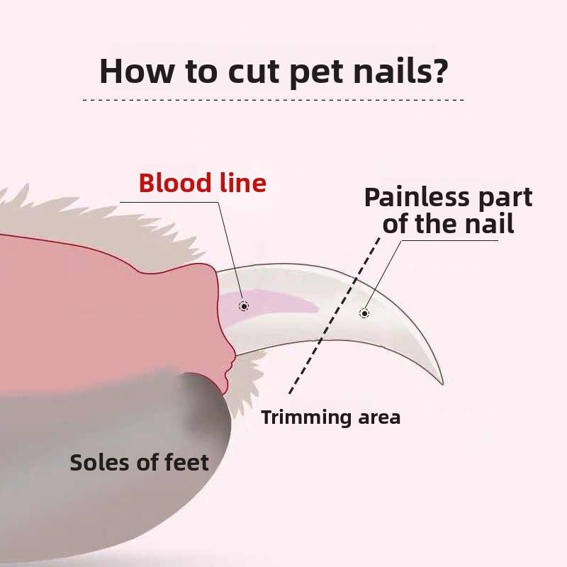 Pet Nail Clipper - Cat Nail Clipper - Stainless Steel - LED - Electric Nail Grinder - Two-in-one - Suitable for Cats and Dogs - Universal Nail Clipper