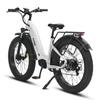 HAOQI Eagle 1.0 All-Terrain Adult EBike 26 Inch Off-Road Tires Electic Bicycle 48V20Ah Battery 250W Motor Outdoor Electic Bike