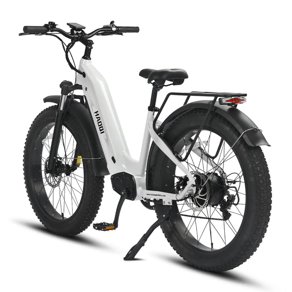 HAOQI Eagle 1.0 All-Terrain Adult EBike 26 Inch Off-Road Tires Electic Bicycle 48V20Ah Battery 250W Motor Outdoor Electic Bike