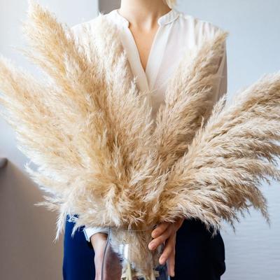 80-120CM Tall Large Pampas Grass Fluffy Natural Dried Flowers Bouquet Boho Home Decor Bouquet Gift Country Wedding Flowers Decorations