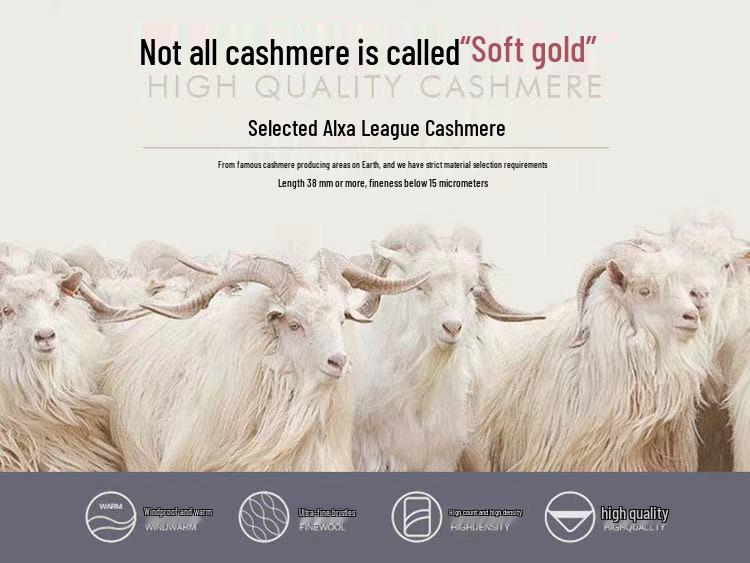 Plus Size Semi-High Collar Wool Sweater Dress - Warm, Thick, Tummy Covering, Slimming Winter Knit