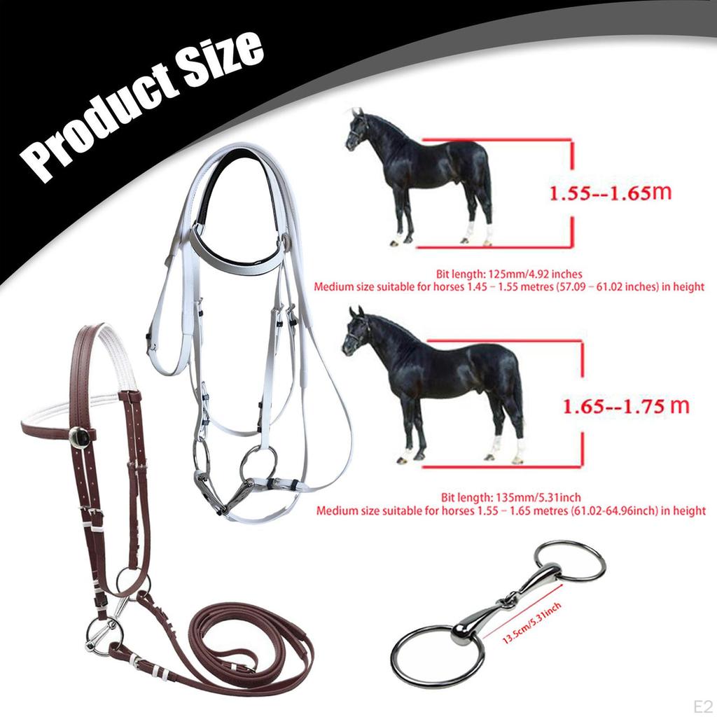 Trense mit Zügeln, Kopfstück-Zubehör, Reitseil, Edelstahlgebiss für Kursstunden und