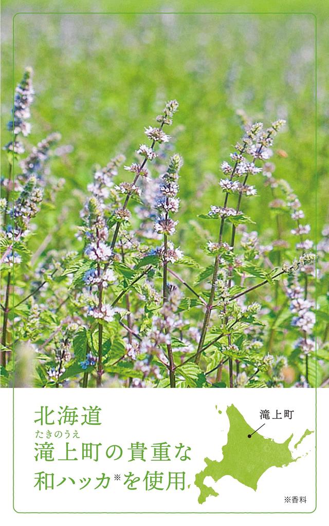 Natural Island Japanese Mint Refreshing Refreshing with an Invigorating Treats Stickiness and Made In Japan Shampoo, 400ml, Scent, Odor,