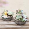 Bunny Flower Pot for Succulents Plants, Mini Animal Planter Decorative Garden Pots Landscape Desktop Ornament Decoration