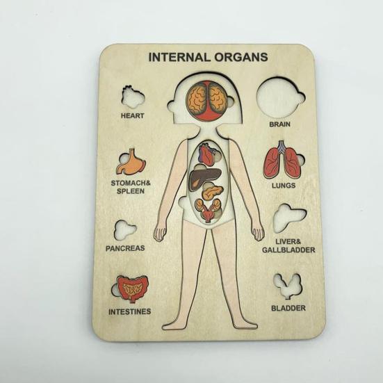 Cognition Easy To Assemble Fun Smooth Surface Boys Girls Anatomy Play Set Wooden Jigsaw Board Puzzle