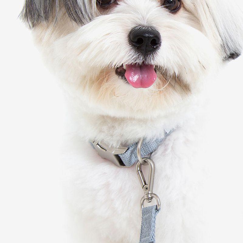 Foreverybari Leash Set (ice Gray)