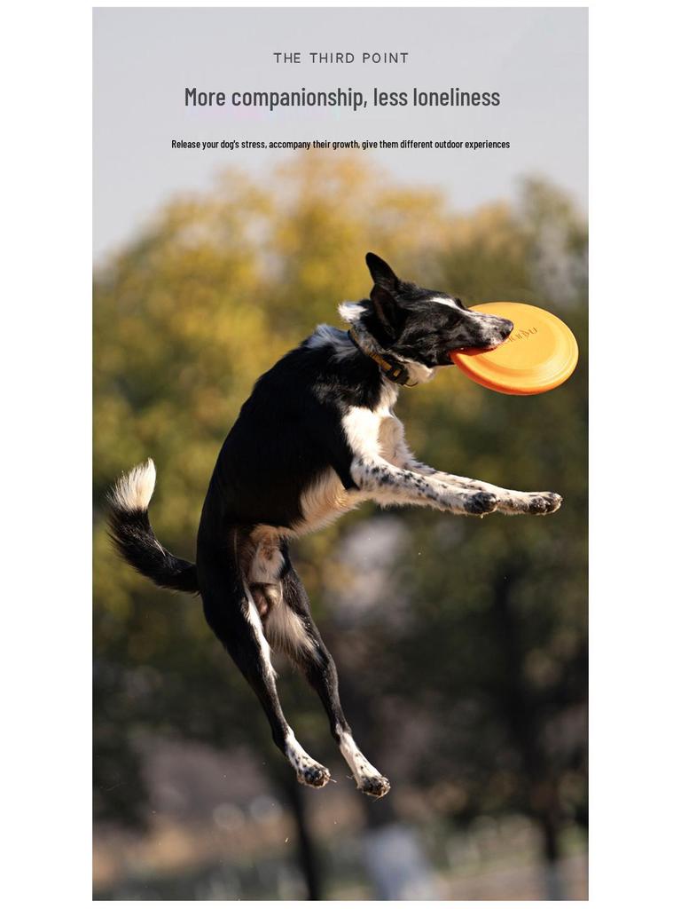 Frisbee Suave TPR Resistente a Mordiscos Meianju - Juguete Flotante Interactivo para Mascotas