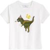 Cotton Crew Neck Short Sleeve Solid T-Shirt Women Tops CDI29-WHT