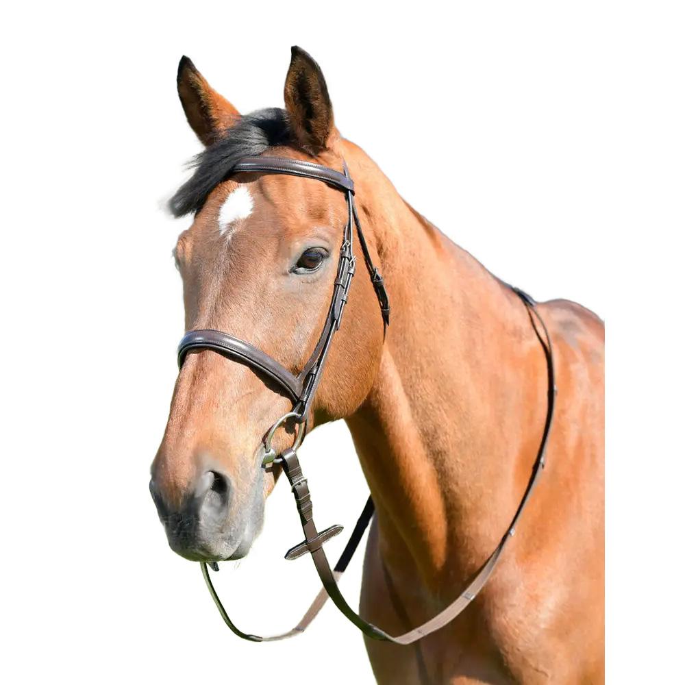 Kincade Classic Leather Horse Cavesson Bridle With Reins