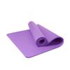 TLXT Multi-functional Yoga & Fitness Mat