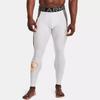 Under Armour Evolution Logo Bedruckte Trainingsleggings Herren Leggings Haze-Grau 1366423-014