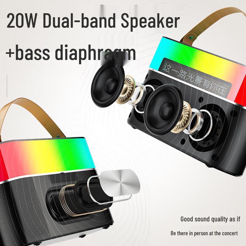 Newmine MC75 Portable Outdoor Bluetooth Karaoke Speaker with Dual Mics