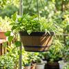 Hanging Planter with Wood Grain Farmhouse Barrel Resin for Patio, Garden
