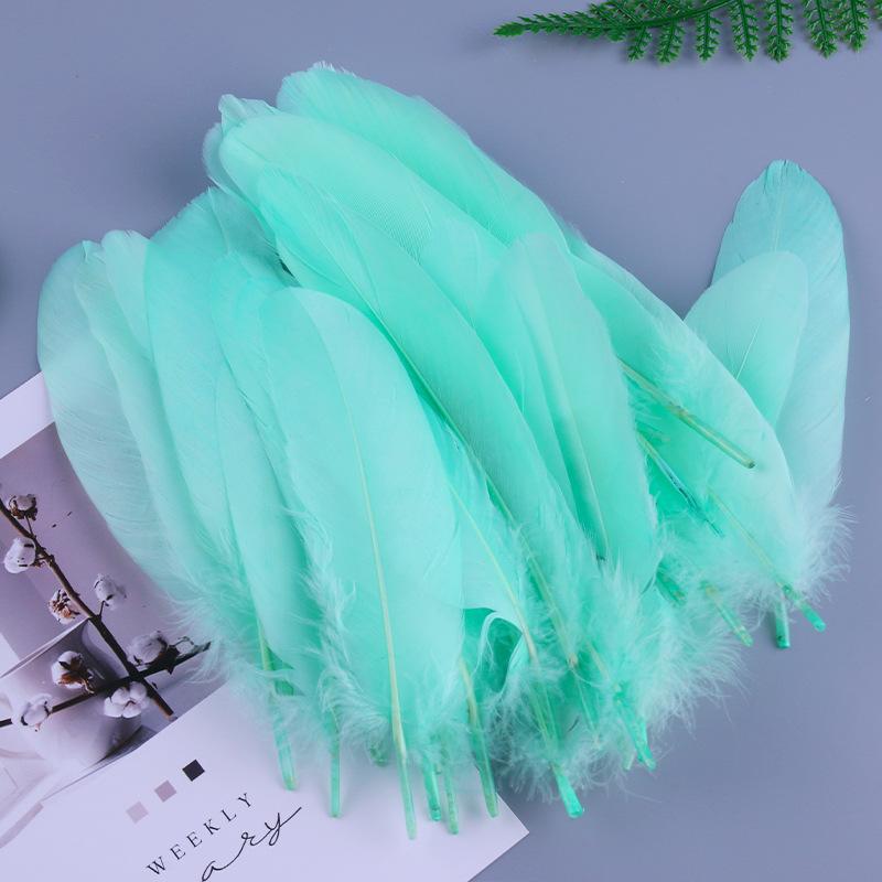 50Pcs Shellfish Feather Goose Feather Diy Handmade Jewelry Accessories Handicrafts Cat Toys Decorative Feathers