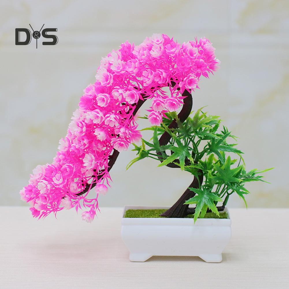 Buchet înflorit, flori, plantă, copac, bonsai, birou, grădină, petrecere, ornament de birou