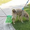 Non-Contact Dog Poop Scooper Retractable Dog Waste Picker Pet Waste Cleaner  Friendly Grabber