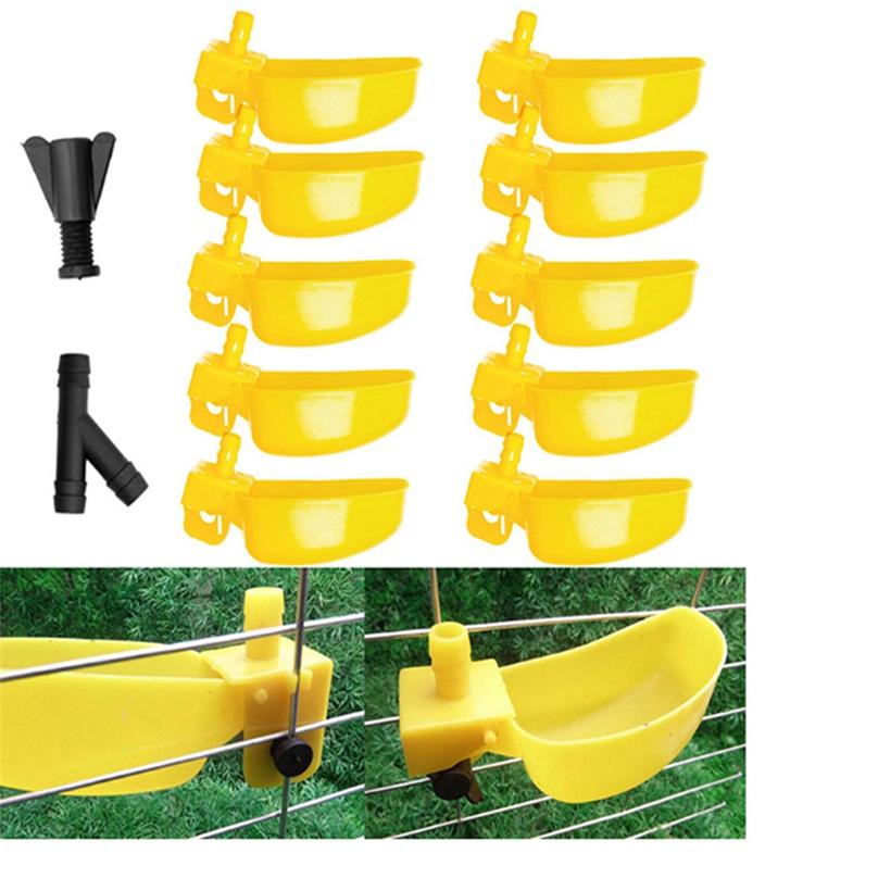 Exquisite Bird Drinking Cups Quail Waterer Bowls Automatic Drinking Tools Feeding Watering Supplies