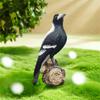 Cute Magpie Model Sculpture Resin Bird Statue Animal Miniatures Figurine  Living Room