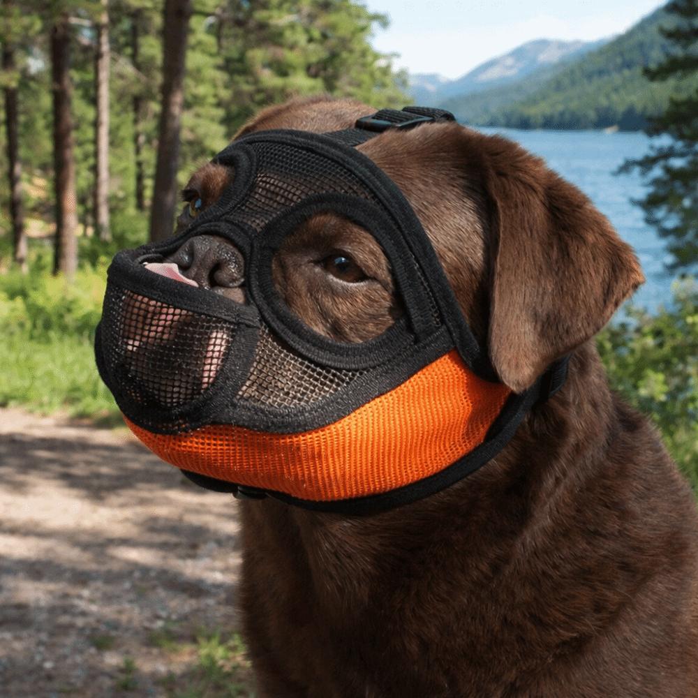 Practical Mesh Dog Muzzle Anti-Eating Adjustable Dog Anti-Biting Muzzle Breathable Drinkable Pet Snout Cover Outdoor Walking