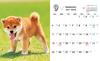 Shiba Inu Weather mini (Impress Calendar 2022)