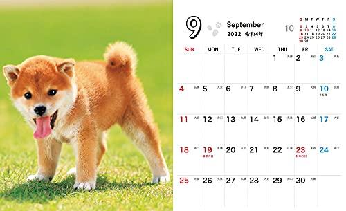 Shiba Inu Weather Mini (Impress Calendar 2022)