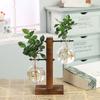 Vaso de plantas hidropônicas de terrário, vaso de flores vintage, vaso transparente, moldura de madeira, mesa de vidro, plantas, decoração de bonsai para casa