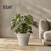 Modern Decorative Planters for Home Decor Round Large Planter with Drainage Hole, 12 Inch Dia Stone-Look Flower Living Room Pot, Minimalist Pot Indoor