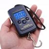 Mini Size 40kg Range Digital Hanging Scale Digital Display Portable Portable Scale Multifunctional Hook Scale Luggage Weighing