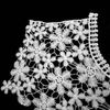 Fashion Lace Neckline Lace Fabric Fake Neckline Collar Creative Shawl Vest  Decorative Accessory