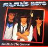 12inch Record MAMAS BOYS  Needle In The Groove JDP9343 Jive 1985 US Rock Used