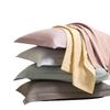 Autumn and Winter Class A Cotton Abraded Pillowcase Pair of Pure Cotton Thickened Pillowcase Pillow Core Liner Cover Household 48X74cm