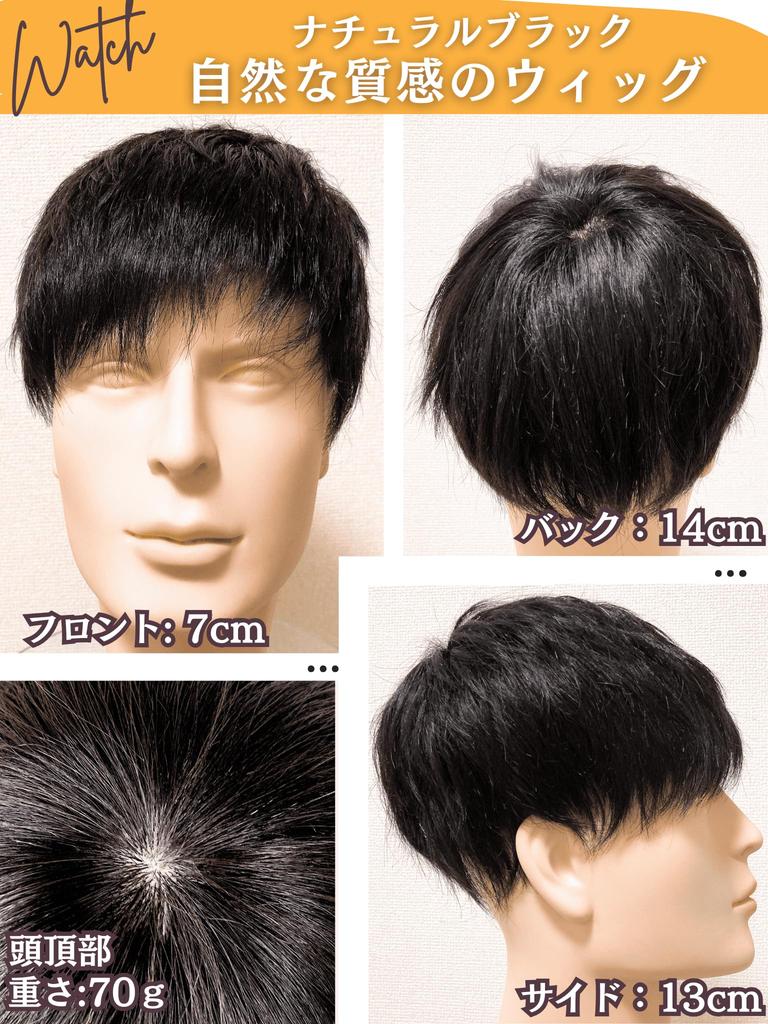 Luce Brillare Wig for Partial Crown and Top of the Human Made by a Japanese Set of Authentic Black Hair Short Full Men, Wig, Head, 100% Hair,