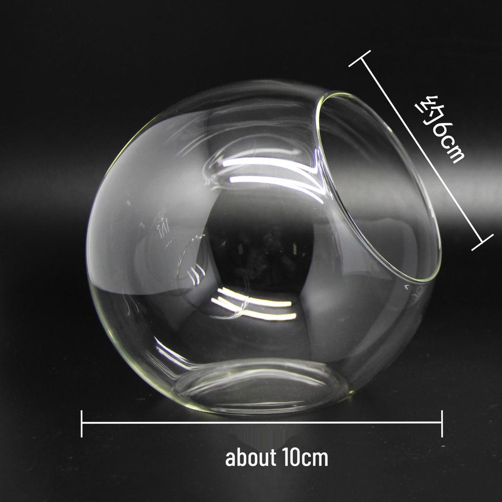 Round Oblique-Mouth Glass Vase for Succulents and Micro Landscapes