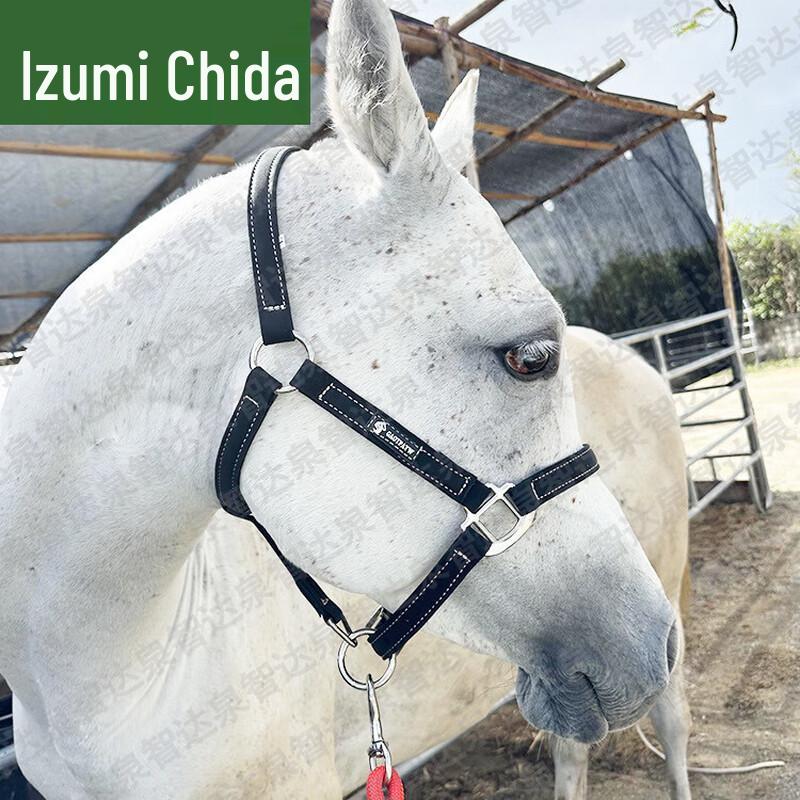 Quanzhida Equestrian Horse Halter and Lead Rope