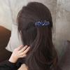 Korean Rhinestone Crystal Hair Clip for Women - Large Alloy Hairpin & Ponytail Accessory