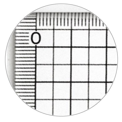 Shinwa Sokutei Grid Straight Ruler, Acrylic, 45cm, 77097