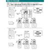 ELPA Wireless Video Doorbell Intercom Battery No Installation LED Recording Night Vision Door Camera Unit and Monitor Unit No Wiring Call System