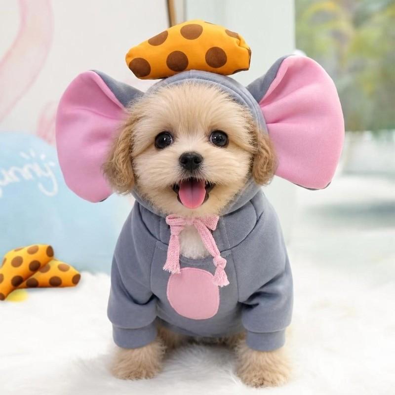Modisches Winter-Haustier-Cosplay-Kostüm Winddichtes Fleece Hund Warme Kleidung Lustige Niedliche Haustierkleidung Katze