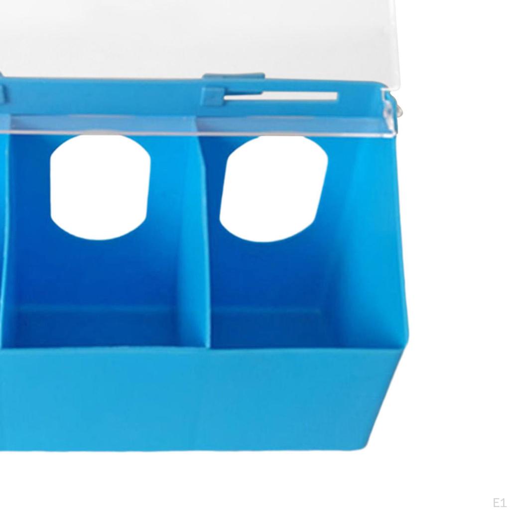 Pigeon Two Hole Hanging Cage Box, Dove Bird Slot Feeder, Food Feeding Box