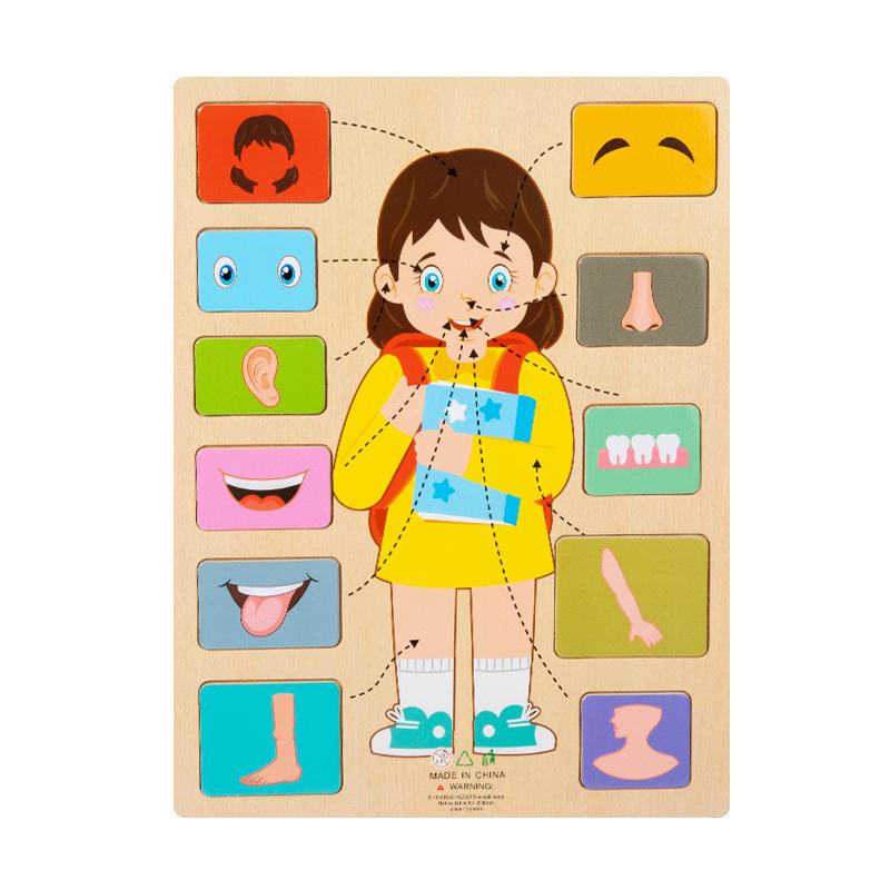 Montessori Human Body Parts Structure Wooden Puzzles Toys Parish Organs Cognitive Open Learning Educational Toys Matching Game