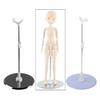 Moveable Metal Doll 25-38cm Adjustable Display Stand 1/3 1/4 BJD Accessory