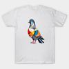 T-shirtler – Tişörtler