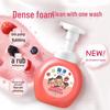 Lion King Qujing Foaming Antibacterial Hand Soap