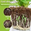 18/36Pcs Plant Fertilizer Stick Indoor Plant Food Spikes Effective Fertilizer Stick Continuous Feeding for Flowering