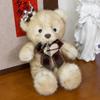 Teddy Bear With Clothes Plush Toy Cartoon Stuffed Doll Decoration Kids Gift