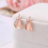 Fashionable Atmospheric Shiny Necklace Earrings Women's Rhinestone Earrings Pendant Full Diamond Crystal Necklace Earring Set