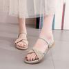 Summer Sandals Women 2025 New Wear Flat Bottom Soft Bottom Fashion Fairy Style Versatile One Shoe Two Wear Female Cool Slippers