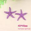 Starfish Resin Accessory Kit: Phone Case, Hair Clip, DIY Ocean Clog Patches