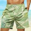 Summer Men's Striped Checked 3D Printed Beach Shorts