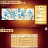 New Demo Slayer: Kimetsu No Yaiba Infinite City Edition Card Official Genuine Anime Peripheral Collection Toy Card